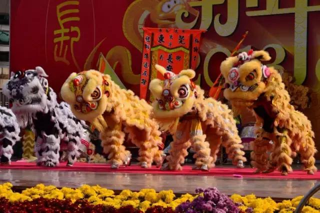 广东醒狮精彩表演,广东醒狮表演2022