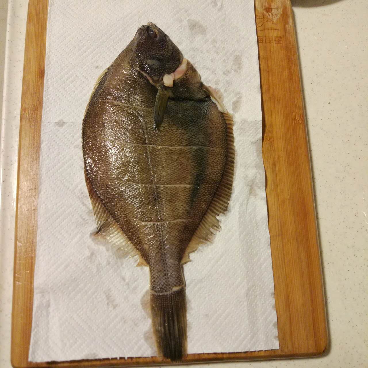 阿拉斯加黄金鲽鱼清蒸,黄金鲽鱼红烧