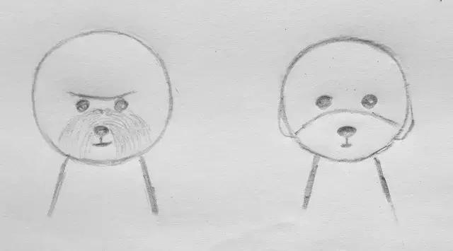 比熊标准装,比熊赛级造型