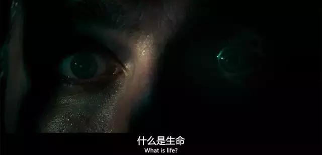 看似喜剧却是悲剧的电影,看似喜剧却是成年人的悲剧