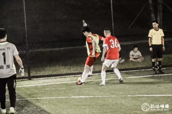 2023年五甲联赛最新积分榜,植物5强争霸赛