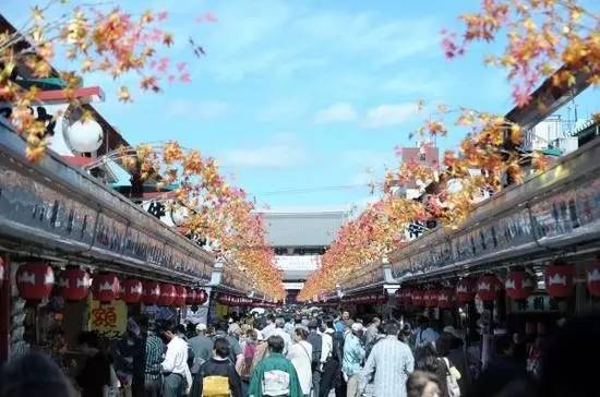 日本必败单品哪个好,日本必败洗护产品