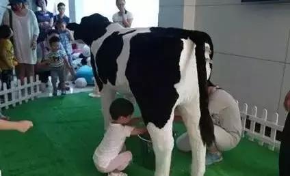 天津亲子国庆,六一天津亲子游