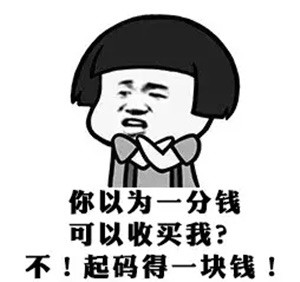 养一只荷兰猪需要花多少钱,养两只荷兰猪一个月需要多少钱