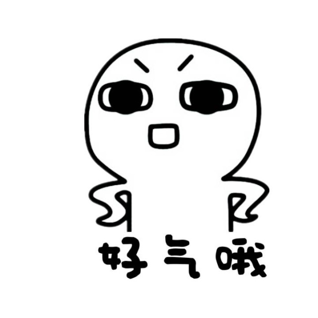 养一只荷兰猪需要花多少钱,养两只荷兰猪一个月需要多少钱