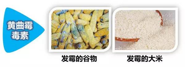 化学性肝损伤什么意思,怎么知道自己有没有化学性肝损伤