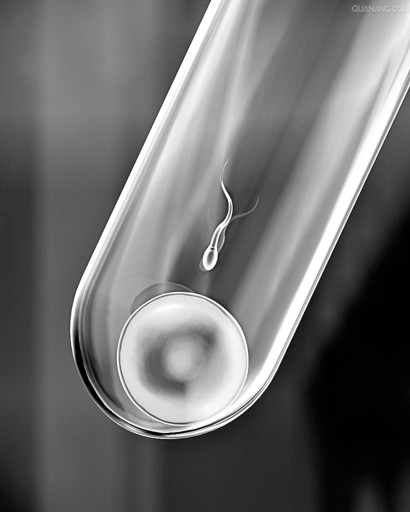 自然怀上双胞胎的秘诀,怀双胞胎的成功经历怎么写