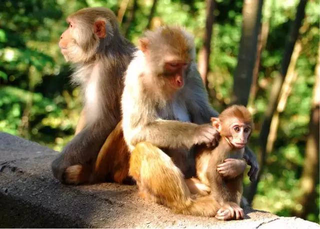 贵阳中秋节带家人一起去哪里玩,重阳节最好玩的地方