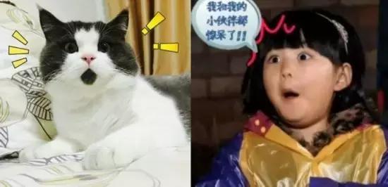 不照不知道，晚上用TANK007紫光手电在脸上照了一下...