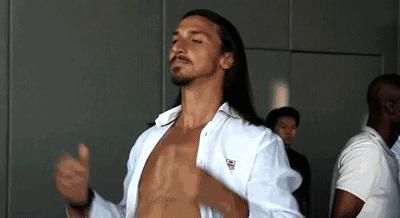 郁金香vs德国,郁金香战争