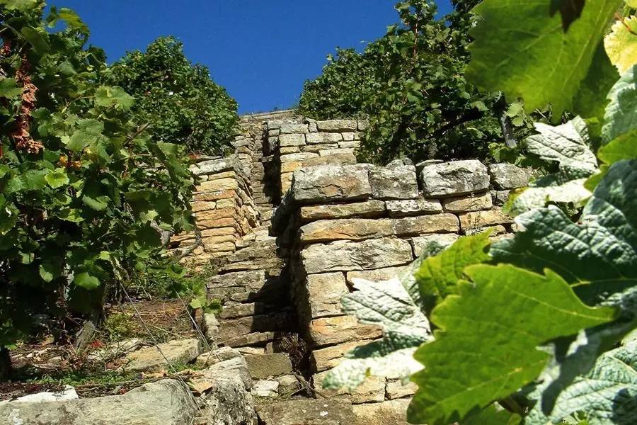 德国葡萄酒品牌排名,德国十三个葡萄酒产区