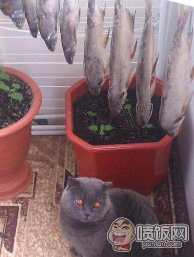 大哥您这样穿，裤裆不会很难受吗