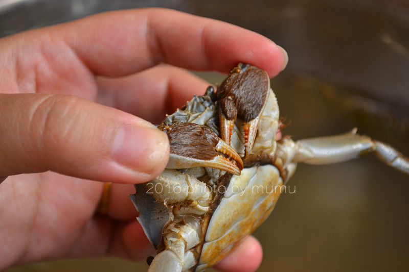 螃蟹怎么清洗干净最快方法,冷冻的螃蟹怎么清洗干净