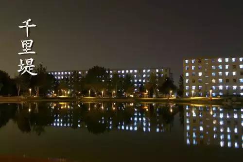 十一回老家不回家,十一回家看看回不去的老家