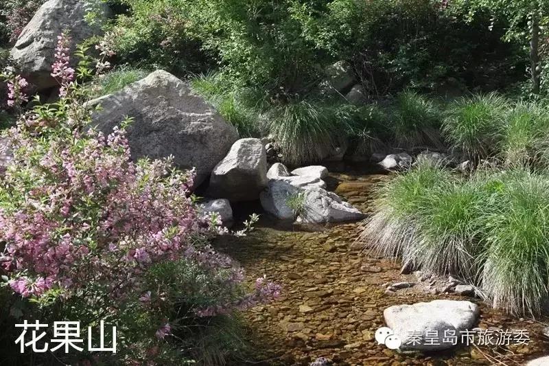 秦皇岛重阳,九九重阳节河北吃什么