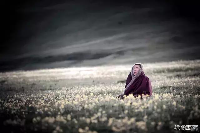 亚青寺，孤寂中盛放的莲花