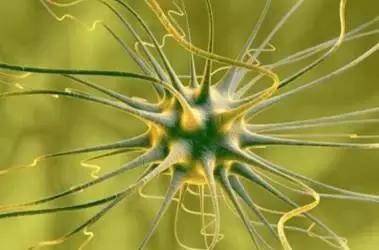 抖腿不是病，只因儿时一不谨慎见过洗脸盆