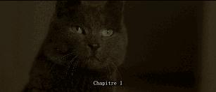 今年我最欣赏的一部片，送给每个不自由的你