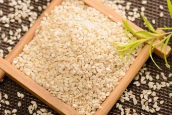 农民为啥不花钱,农民为什么不挣钱