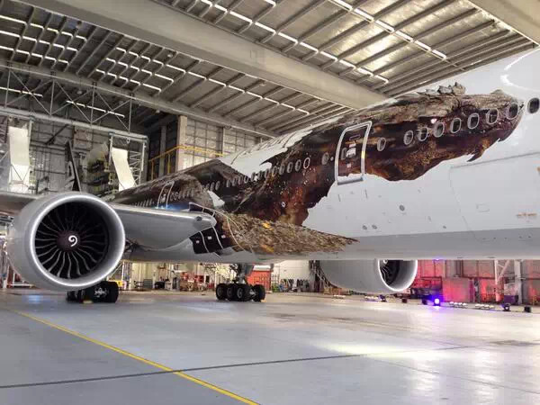 最酷的飞机涂装,各种各样的飞机涂装