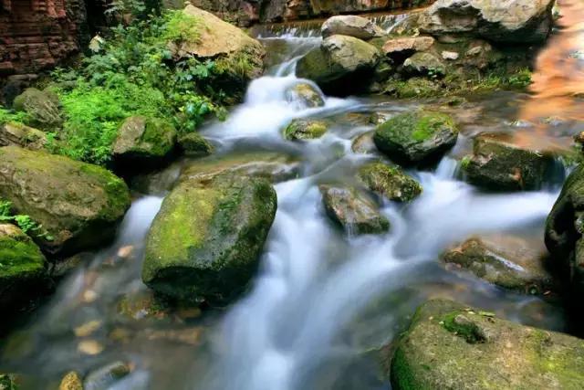 郑州最新符号,郑州城市符号