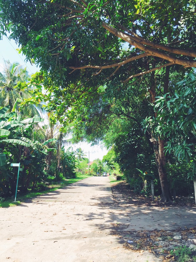 菲律宾潜水攻略 (菲律宾潜水游记)