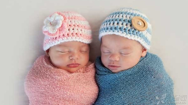 孕囊如何判断长出胎芽,孕囊怎么看出多少周