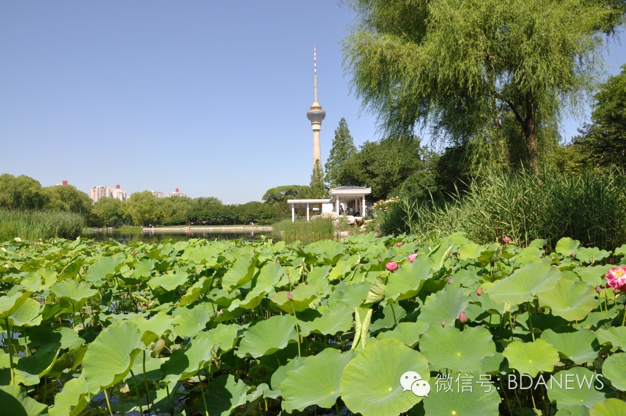 亦分享金秋迎佳节，游园品文化，全市文化活动风景区任你嗨~~