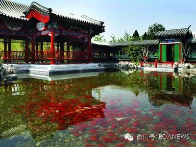 亦分享金秋迎佳节，游园品文化，全市文化活动风景区任你嗨~~