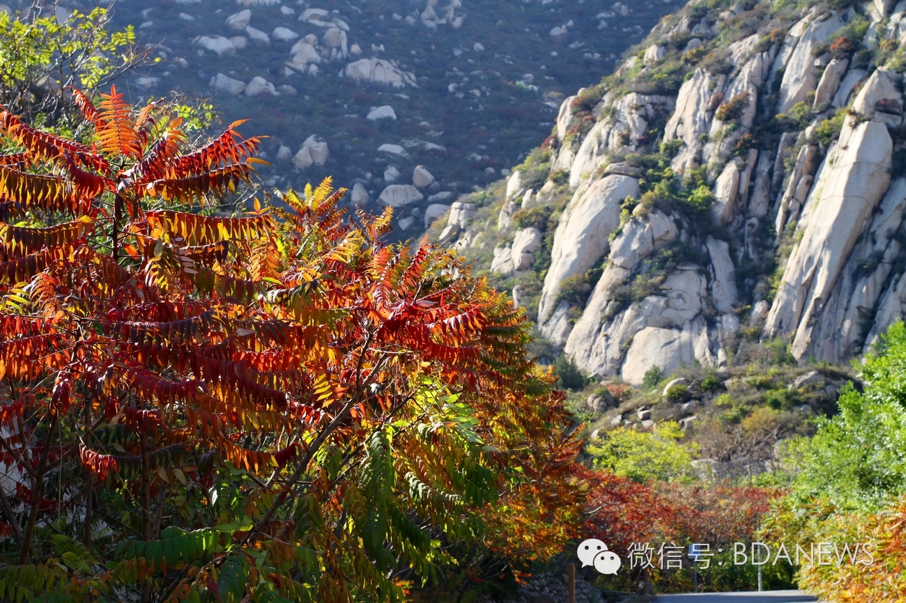 亦分享金秋迎佳节，游园品文化，全市文化活动风景区任你嗨~~