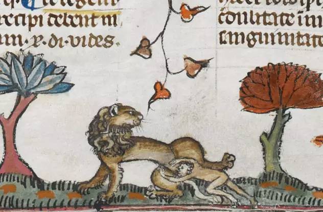 史上最神秘的书内容,世界上最奇怪的书籍