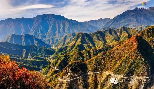 寻找一抹秋色,寻找不一样的质感