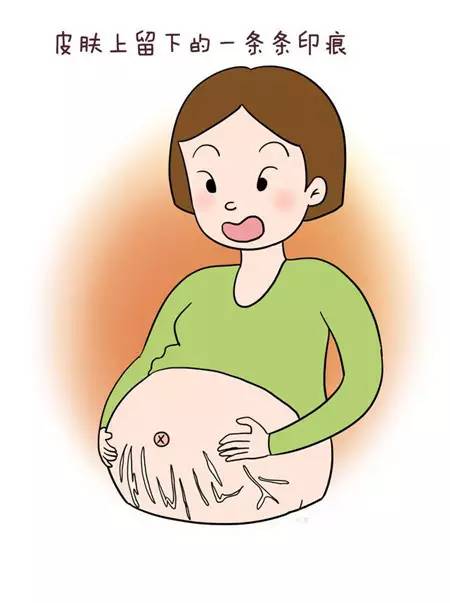 泌尿系感染完全指导手册