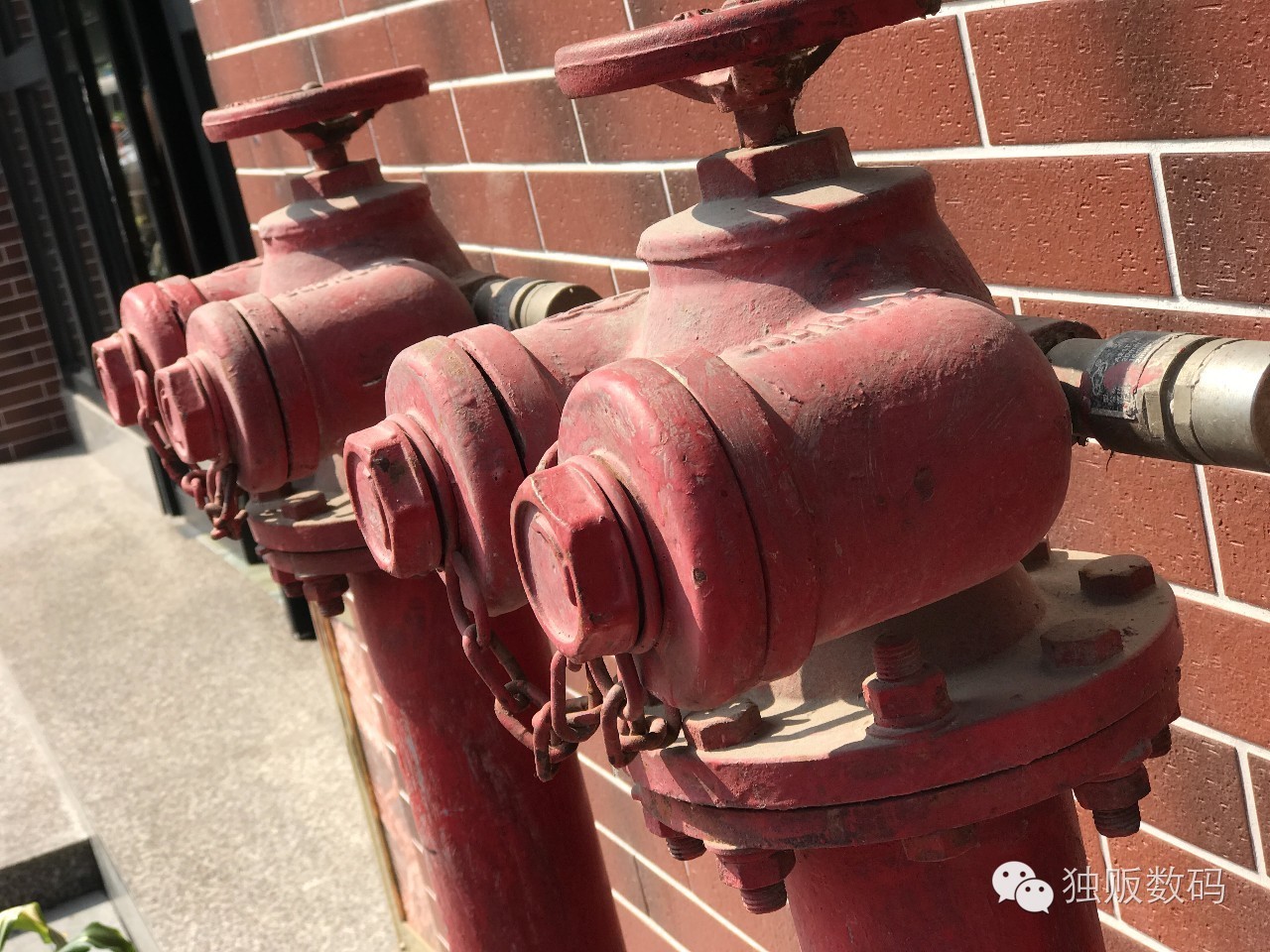 iphonexsmax拍照景深,苹果手机拍照景深效果怎么调