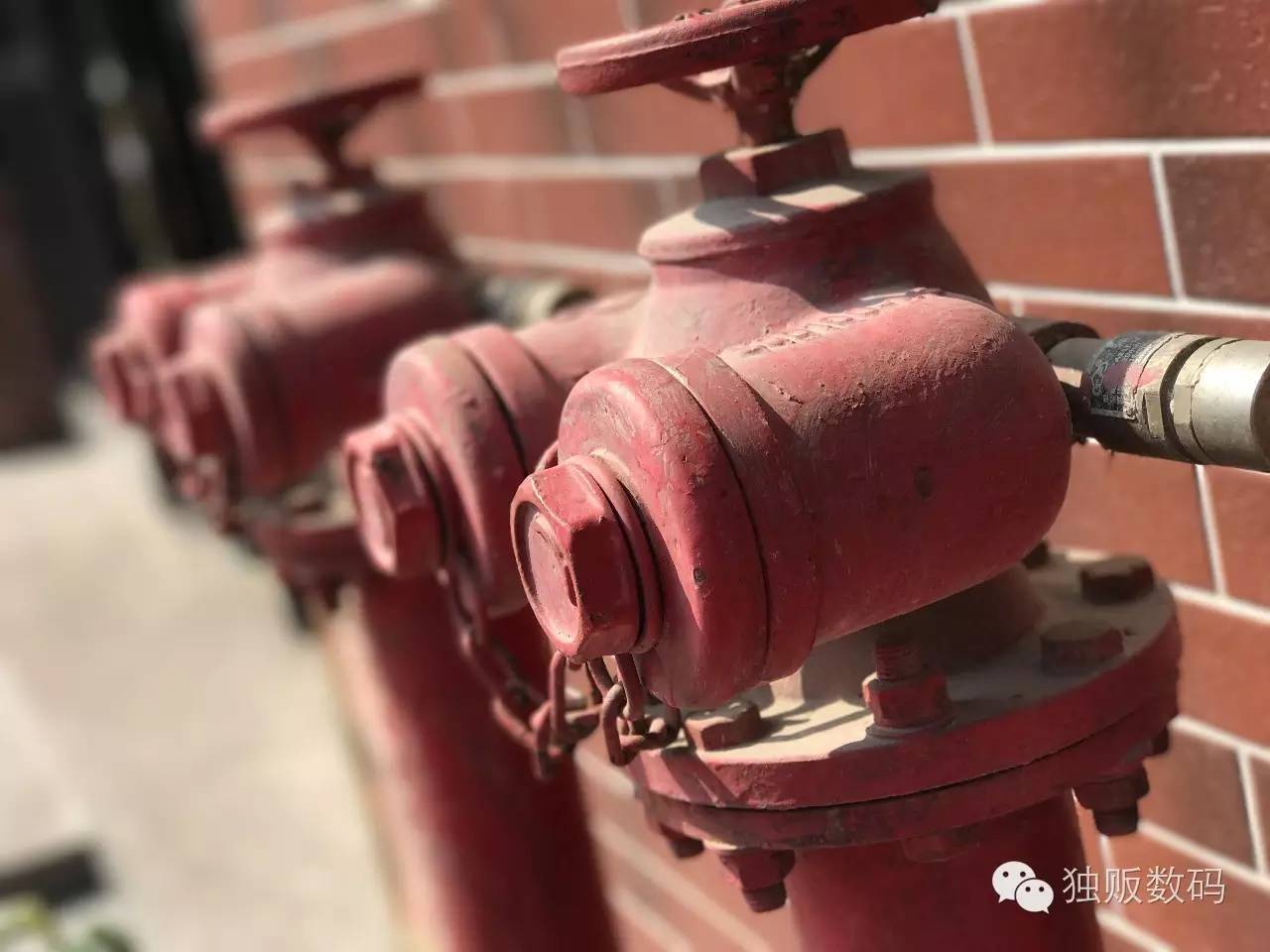 iphonexsmax拍照景深,苹果手机拍照景深效果怎么调