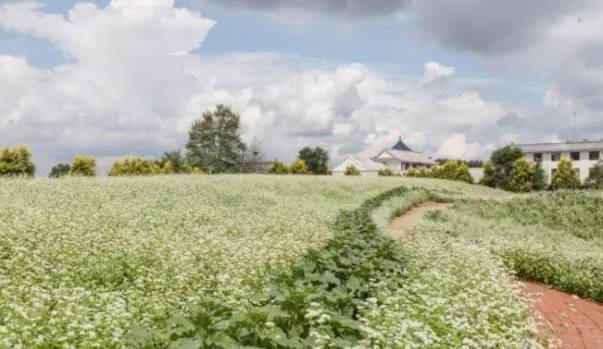 沈阳秋季哪好玩,秋天沈阳市区风景最好的地方