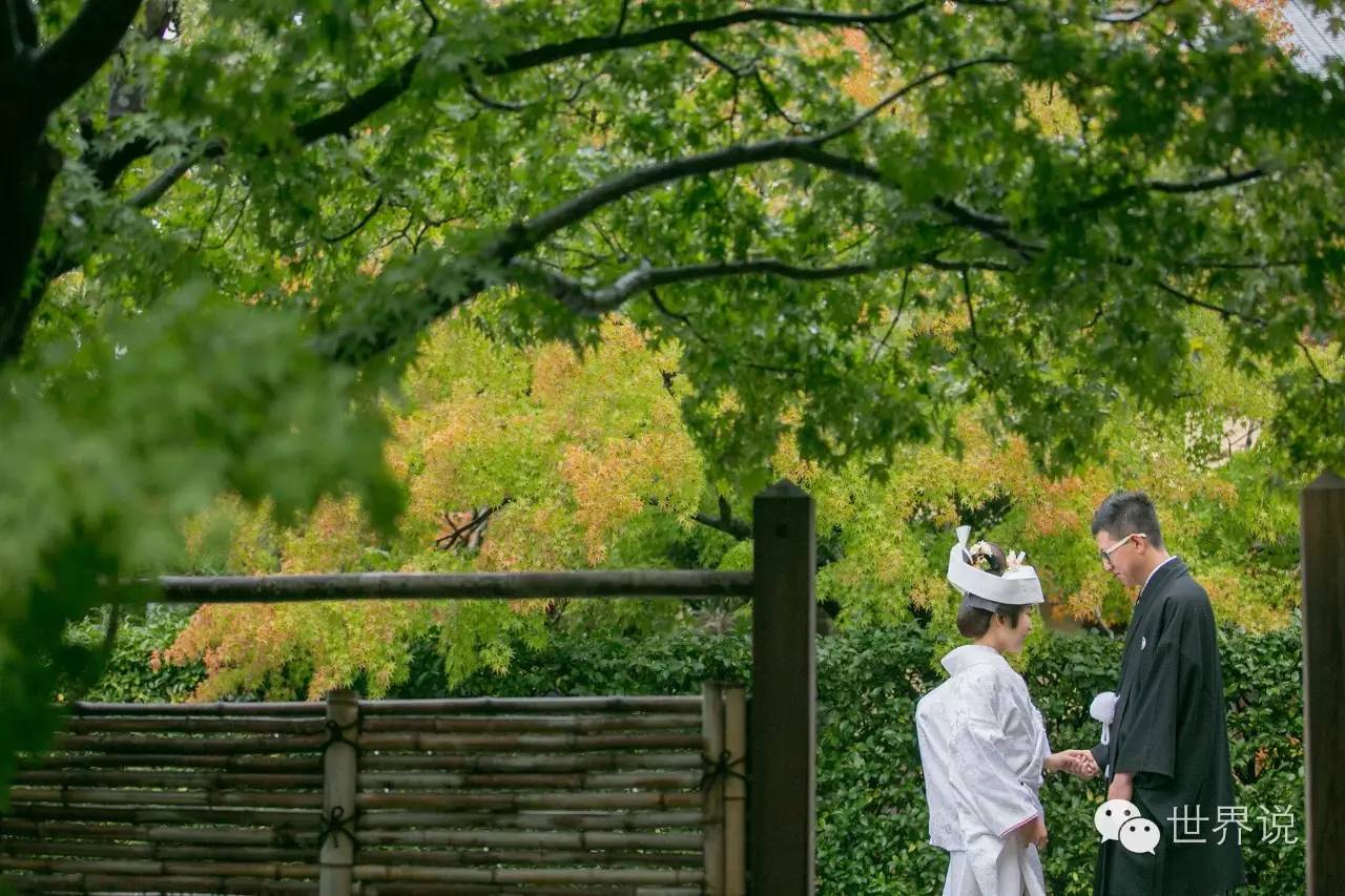 福原爱大婚视频,福原爱的几段婚姻