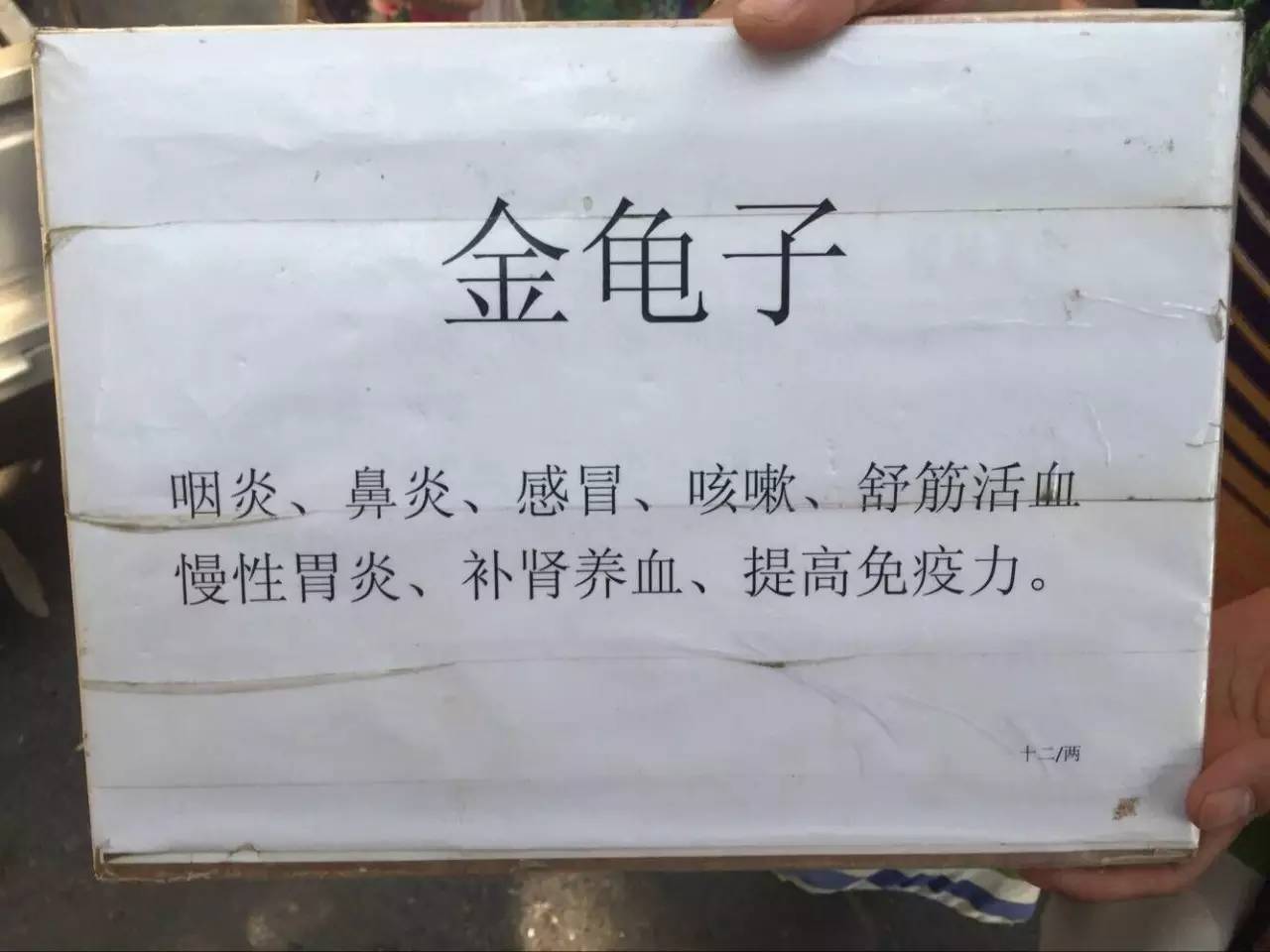 涨见识了！有人兜售“使君子”、“金龟子”，说能包治百病，你信了吗？