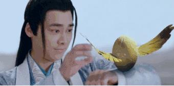 没想到你是这样的神狐小七！《青云志》灵（萌）兽（宠）大合集