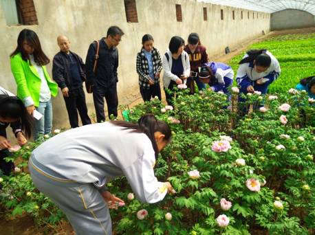 科学小记者招募,科学小记者活动