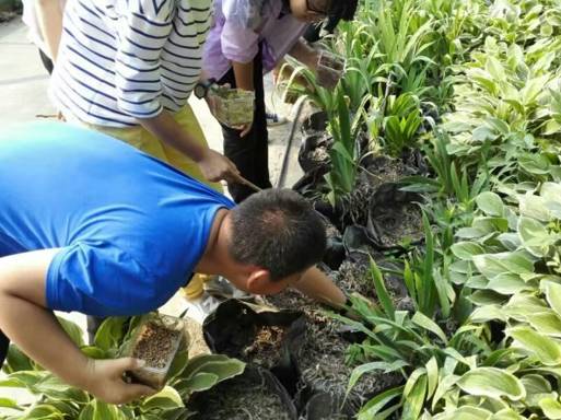 科学小记者招募,科学小记者活动