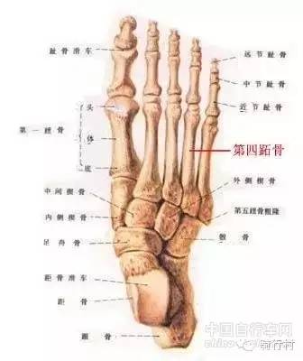 经验：必读，自行车尺寸导致的5种运动损伤！