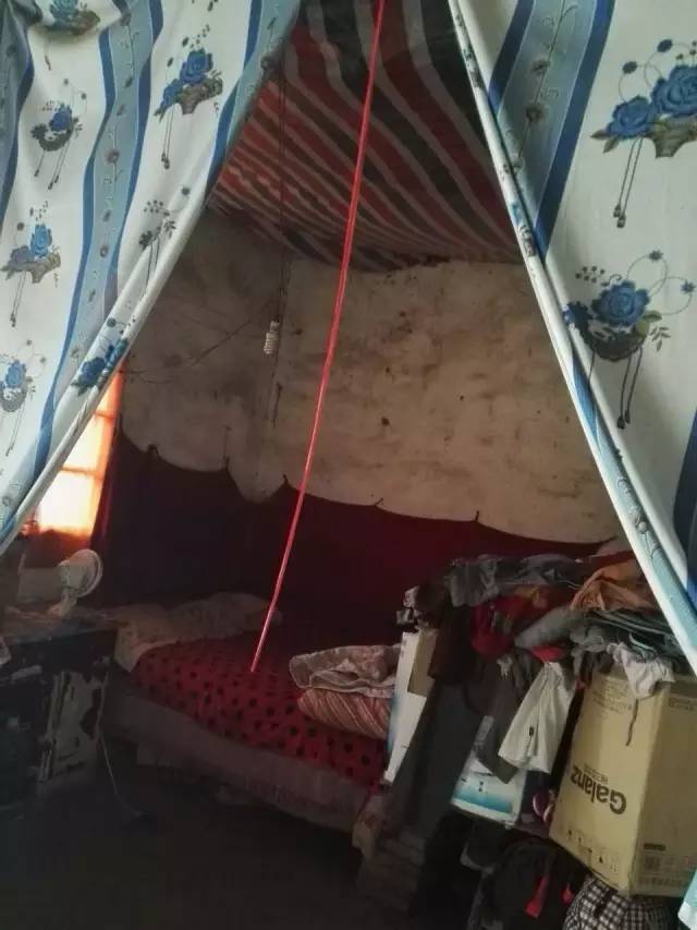 为之动容还是为之动容,为之动容完整版视频