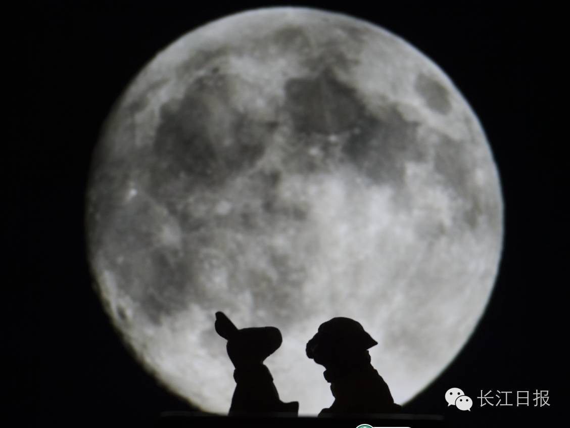 早安新闻来了语音版,早安武汉电台