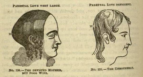 丑人俱乐部,丑人俱乐部有哪些