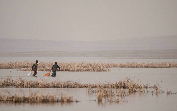 沈阳秋季哪好玩,秋天沈阳市区风景最好的地方