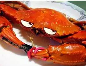 帝王蟹和海王蟹哪个更厉害,春节帝王蟹和波龙哪个更值得吃