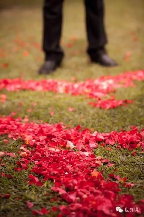 福原爱大婚视频,福原爱的几段婚姻