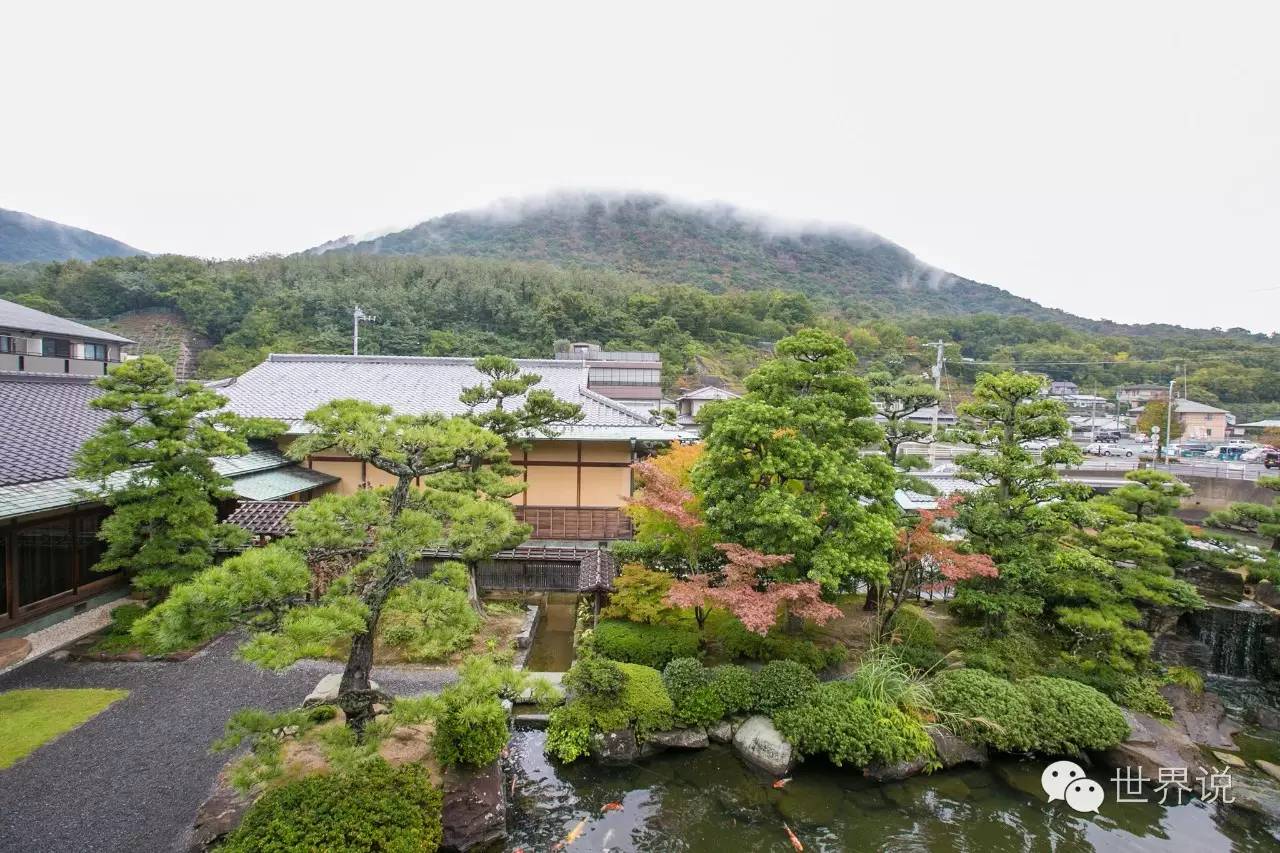 福原爱大婚视频,福原爱的几段婚姻