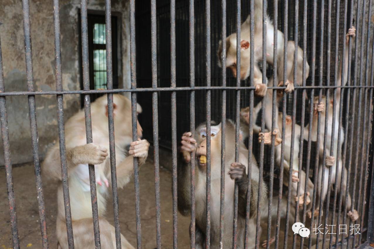 早安新闻来了语音版,早安武汉电台